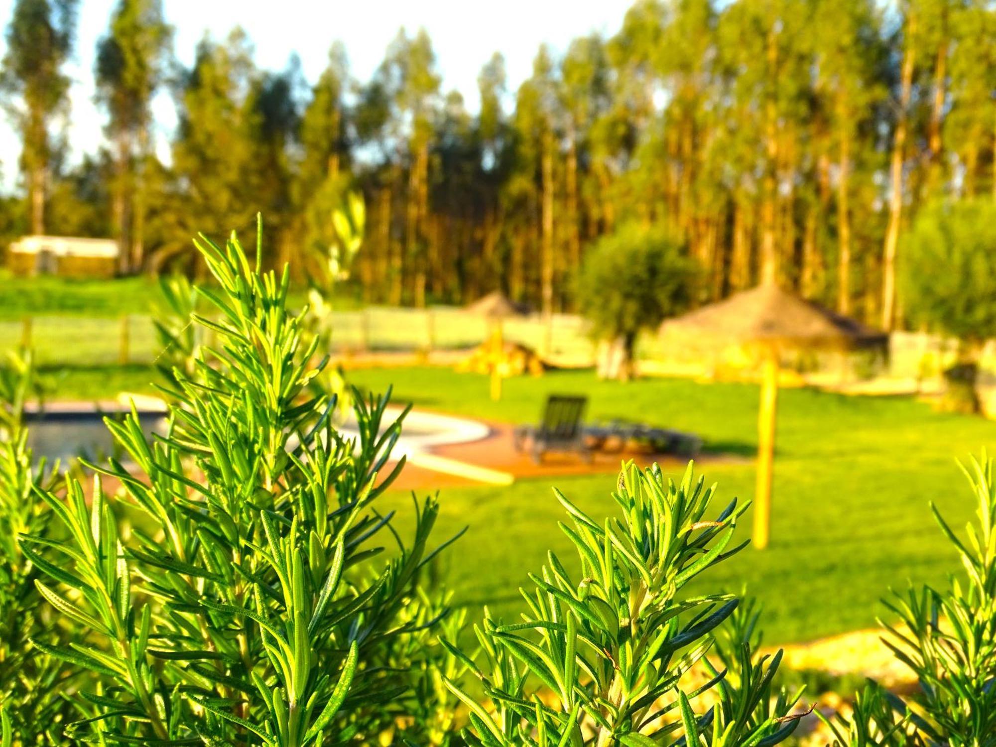 Herdade Vale De Gaios By Stay In Alentejo Sao Luis Εξωτερικό φωτογραφία