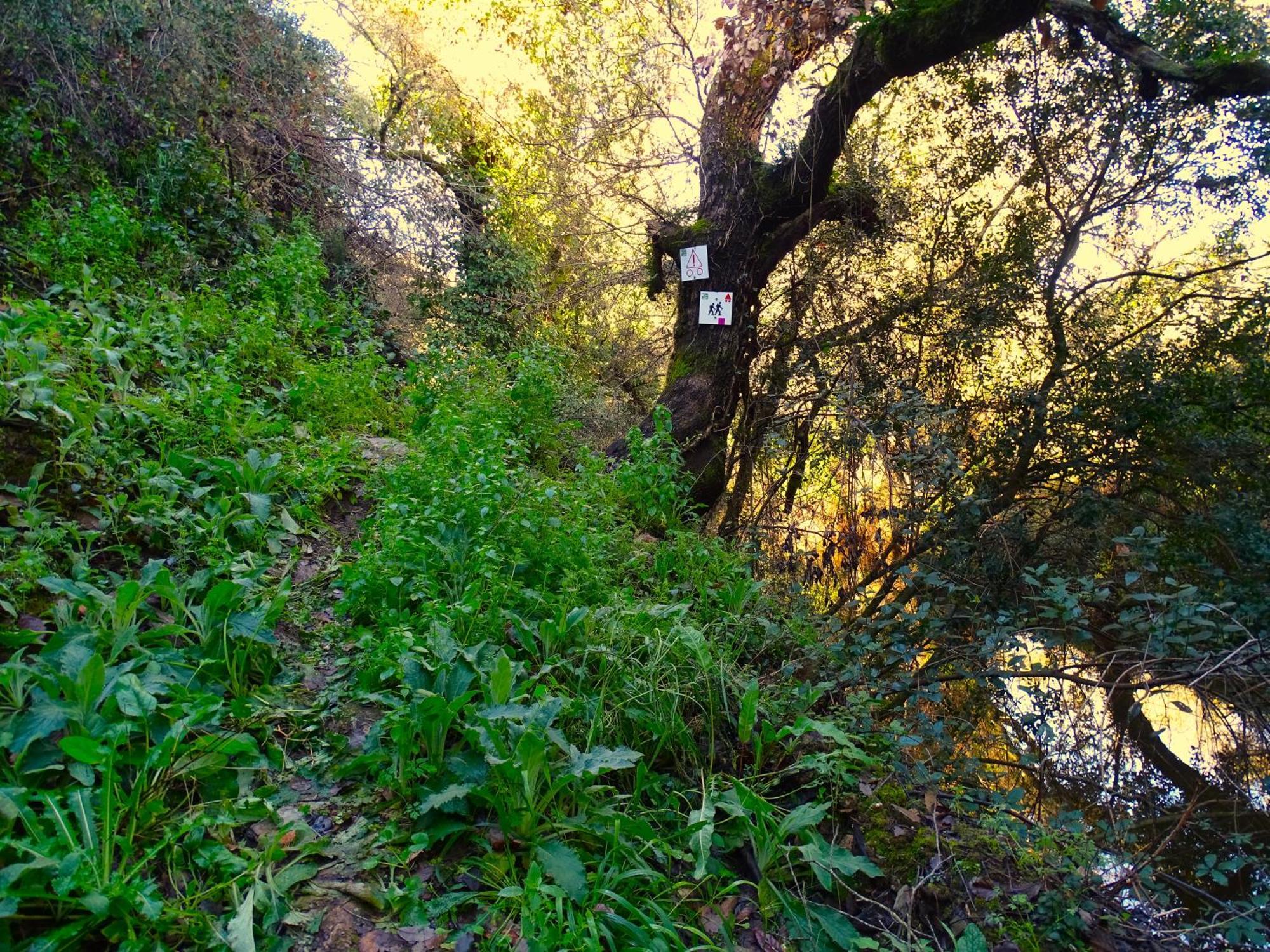 Herdade Vale De Gaios By Stay In Alentejo Sao Luis Εξωτερικό φωτογραφία